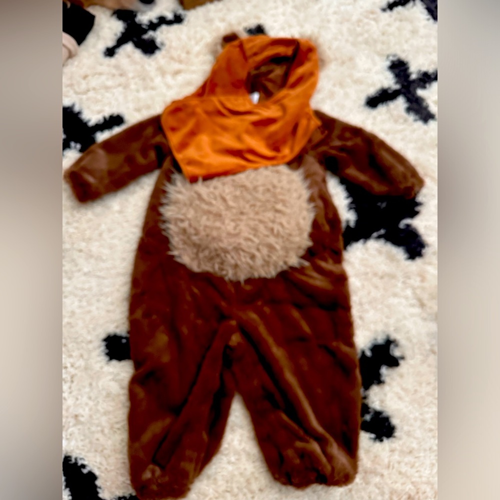 Star Wars bear costume